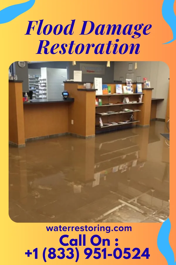 Flood Damage Restoration in Mabscott, WV