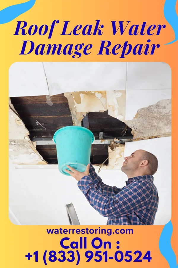 Roof Leak Water Damage Repair in Mabscott, WV