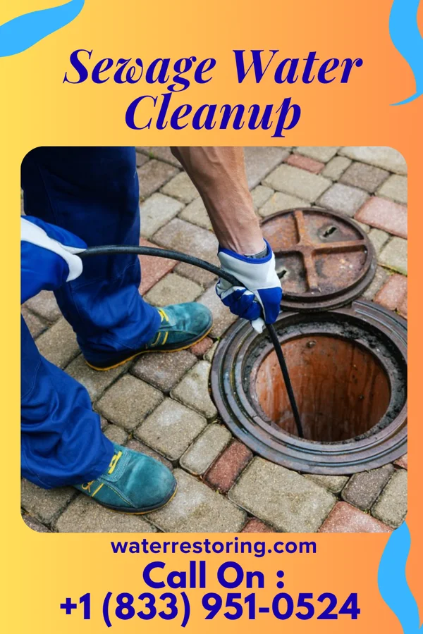 Sewage Water Cleanup in Mabscott, WV